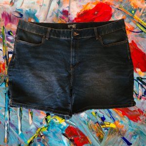 Terra & Sky Women's Plus Size High Rise Mom Jean Shorts -EUC